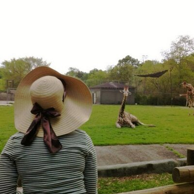 Profile Picture of P Hebert (@Steph_p_hebert) on Twitter