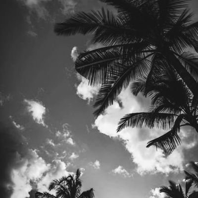 Profile Picture of Victoria Wise (@Tori_Forever) on Twitter