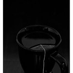 Profile Picture of Sammy Ryan (@sammyaryan) on Instagram