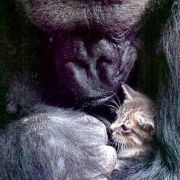 Profile Picture of Matthew Romigh (@fatjedi) on Pinterest