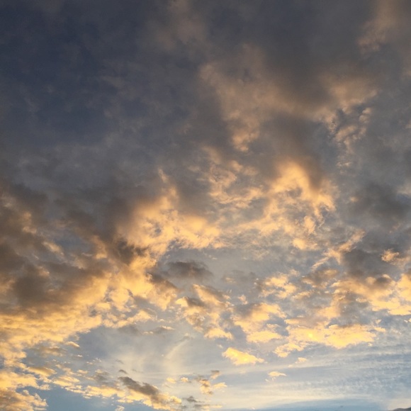 Profile Picture of Gabriel Oliver (@goliver94) on Poshmark