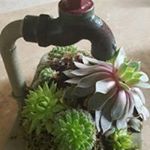 Profile Picture of Ginger Townsend (@ginger.townsend) on Instagram