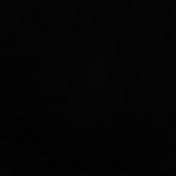 Profile Picture of Peyton Berry (@peytonberry5836) on Youtube