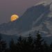 Profile Picture of James Arndt (@arndtjpin) on Pinterest