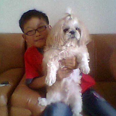 Profile Picture of Stevenfang (@StevenFang27) on Twitter