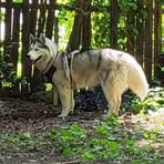 Profile Picture of Richard Waschko (@Richard-Waschko) on Facebook