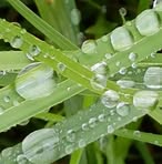 Profile Picture of Brian Garner (@brian.garner.3152) on Facebook