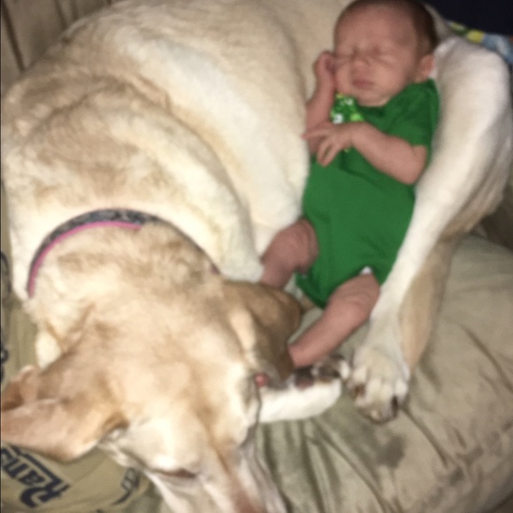 Profile Picture of William Lovaglio (@keymaster2003) on Poshmark