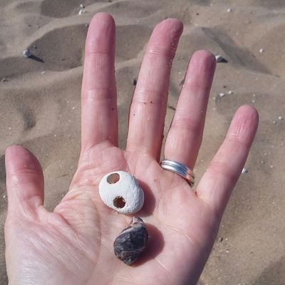 Profile Picture of Lucy Shanahan (@Lucy_BCA) on Twitter