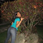 Profile Picture of Amanda Guidi (@dotawaypurple) on Instagram