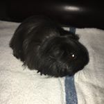 Profile Picture of Fred (@fred.patrick_) on Instagram