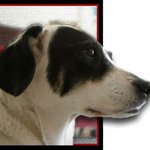 Profile Picture of Andre Warren (@andrewarreng) on Instagram