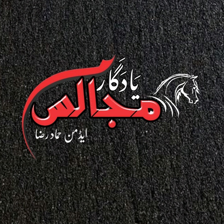 Profile Picture of Hammad Raza (@yadgar_majalis) on Tiktok