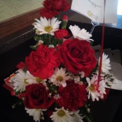 Profile Picture of beverlybaumgarten (@@beverlybaumgarten) on Tiktok