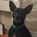 Profile Picture of Harvey Plummer (@harvey.plummer.142) on Facebook