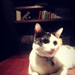 Clare Huang - Twitter Profile Picture of Clare Huang (@ClareHuang0704) on Twitter