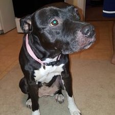 Profile Picture of Jay Asmus (@jay_asmus) on Twitter