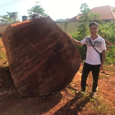 Profile Picture of Tony Vu (@tonyvu48707685) on Twitter