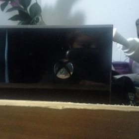 Profile Picture of Kevin Knife (@kevinknife) on Pinterest