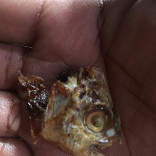 Profile Picture of Joshua Balda (@Joshua-Balda) on Facebook