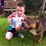 Profile Picture of Gavin Dowling (@gdowling14) on Instagram