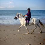 Profile Picture of Hannah Richards (@newforestnorman) on Instagram