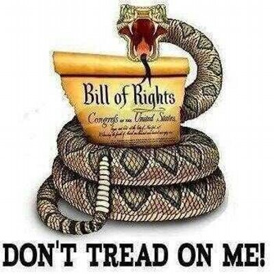 Profile Picture of Adam Gora (@ag_gora) on Twitter