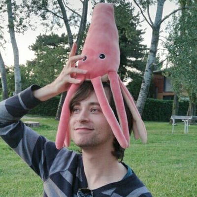 Profile Picture of Miguel Guerreiro (@MiguelFGuerreir) on Twitter