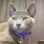 Profile Picture of Chris Dombrowski (@chris.r.dombrowski) on Instagram