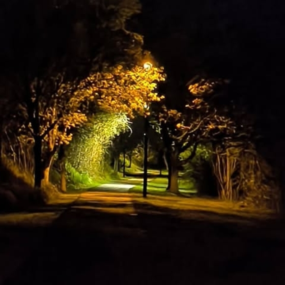 Profile Picture of Cody Kohl (@poshmosh988) on Poshmark