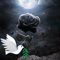 Profile Picture of April Sheldon-anderson (@april-sheldon-anderson) on Quora