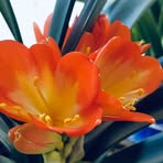 Barton Lucy - Facebook Profile Picture of Barton Lucy (@Barton-Lucy) on Facebook