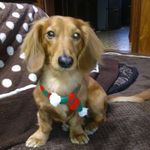 Profile Picture of Mari Takai (@outamaripon) on Instagram