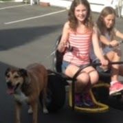 Profile Picture of Bebhinn Larkin (@bebhinn0773) on Pinterest