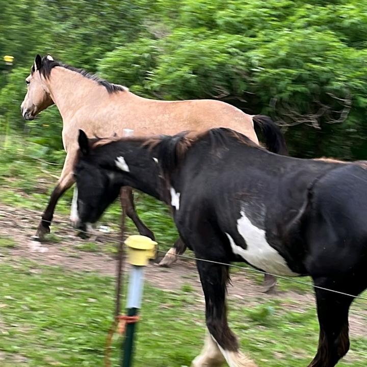 Profile Picture of Kevin parkersonn (@kevin6433965) on Tiktok