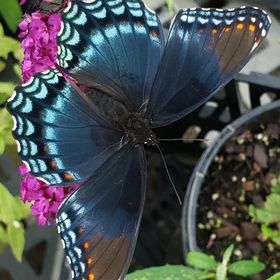 Profile Picture of Matt Weaver (@mattheweaver) on Pinterest