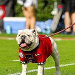 Bret C Eller - Facebook Profile Picture of Bret C Eller (@bret.eller) on Facebook