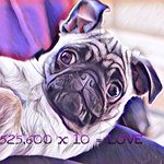 Profile Picture of Kathleen Medjuck (@princesspurplepug) on Instagram