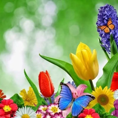 Profile Picture of Jessica Oñate (@3raOnate) on Twitter