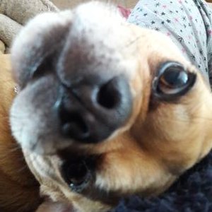 Profile Picture of Michelle Kinder (@flossyanny) on Twitter