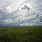 michael.knisley - Flickr Profile Picture of michael.knisley (@michael.knisley) on Flickr