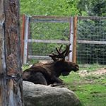 Profile Picture of Jeri Doughty Sandoval (@sandovaljeri) on Instagram