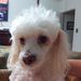 Profile Picture of Aura Cordova (@aura15562) on Pinterest