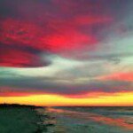 Profile Picture of Tami Anderson (@tamianderson0802) on Instagram