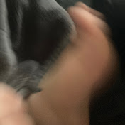 Chris Swingle - Youtube Profile Picture of Chris Swingle (@chrisswingle-gn7ng) on Youtube