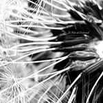 Deborah Rottenmeier - Instagram Profile Picture of Deborah Rottenmeier (@deborahrottenmeier) on Instagram