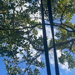 Profile Picture of Carly Gilbert (@carlybourke) on Instagram