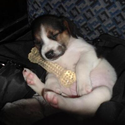 Profile Picture of John Albert Payan (@johnpayan44) on Twitter