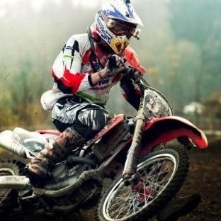 Fin FoxGuy #MyPresident #Biden #Harris - Twitter Profile Picture of Fin FoxGuy #MyPresident #Biden #Harris (@FinFox2) on Twitter