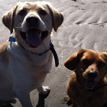 el roberts - Flickr Profile Picture of el roberts (@elaine_a_roberts) on Flickr